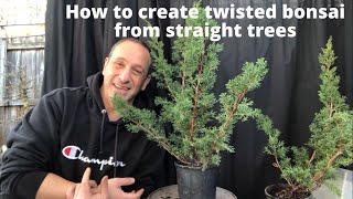 How to create twisted junipers for bonsai from straight trunks