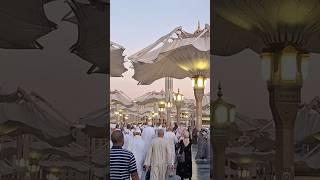 bas Raha hai Nazar Main Madina #love #madina @Tariq official KSA ️