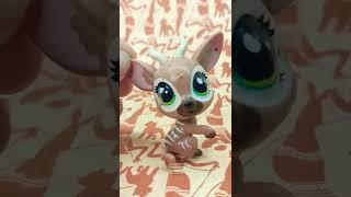 ~jungle LPS ~ #shorts #sovalps #lps #lpscommunity #littlestpetshop #lpspopular #lpscollection