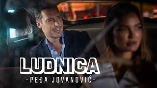 PEDJA JOVANOVIC - LUDNICA (OFFICIAL VIDEO 2024)