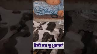 Jai sai Laddi Shah ji 