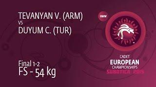 GOLD FS - 54 kg: V. TEVANYAN (ARM) df. C. DUYUM (TUR), 2-0