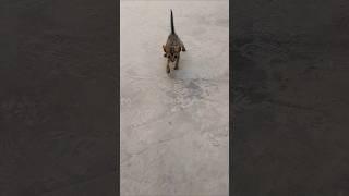itni si hasi itni si Khushi ️️ #funny #cute @fun @cute @Shorts