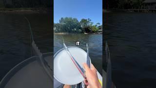 Catch and cook on my KAYAK! #fishingvideo #saltwaterfix #catchandcook #fishing