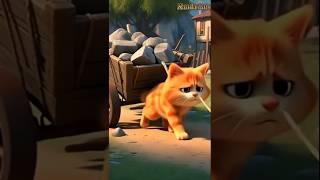 The poor cat #cat #shorts #animals #trending #funny #cute
