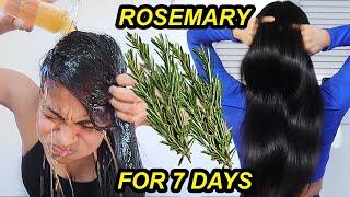 I tried ROSEMARY WATER on my hair for 7 DAYS & THIS HAPPENED! *before & after results*