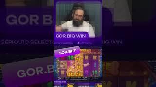 X196 мега занос в онлайн слоте Dog House от Прагматик на канале GorBigWin #maxwin