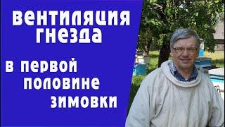 Вентиляция гнезда в первой половине зимовки