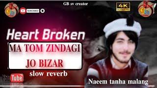 Ma tom zindagi jo Bizar (slow reverb) song by //Naeem tanha malngi/shina song 20215//GB sv