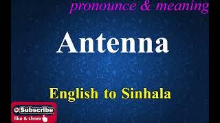 Antenna - Sinhala Meaning with Pronounce සිංහල තේරුම උච්ඡාරණය සමඟ | Dilfinity Dictionary