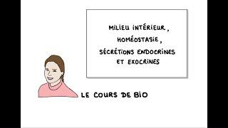 Milieu intérieur, homéostasie, sécrétions exocrines et endocrines