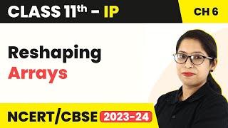 Reshaping Arrays | Class 11 Informatics Practices Chapter 6 (Theory and Practical) (Code 065)