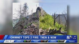 Repeat photography shows changes after 2016 Chimney Tops 2 fire