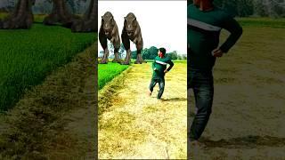 Vfx Funny Video #shorts #viral #trending #shortvideo #video #vfx