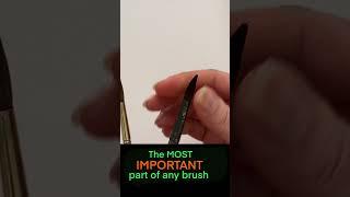 3 Kinds of Brush Bristle - DO YOU KNOW ALL 3 ?  #watercolourbrushes #paintingbrush