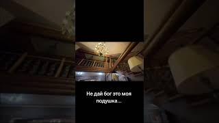 ФРАМЕ ТАМЕР НАОРАЛ НА ДАНИЛУ ГОРИЛЛУ