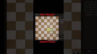 Мат Ладьей. Отрывок с занятия. #chess777 #chess #шахматы #топ #makarychevchess #games #chessgame