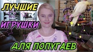 ИГРУШКИ ДЛЯ ПОПУГАЕВ | ВИДЫ ИГРУШЕК // САМЫЕ ЛУЧШИЕ ИГРУШКИ // ЗЕРКАЛО ДЛЯ ПОПУГАЕВ ЭТО ЗЛО?