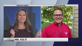 Mr Fix It with tips on keeping a mosquito-free yard