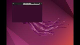 blank screen after screen recording UBUNTU