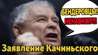 Качиньский высказался о Бандере | Заявление Польши