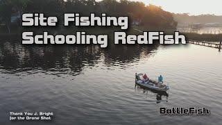 Site Fishing and Chasing Schooling RedFish