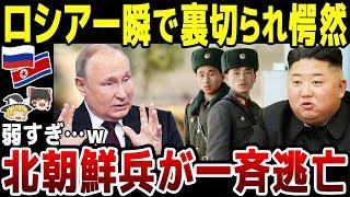 【ゆっくり解説】ロシア一瞬で裏切られる！ｗ北朝鮮兵18名がクルスク前線から一斉逃亡…弱すぎて話にならず。