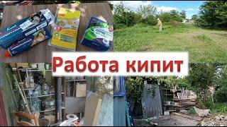 Купили дом на юге // Полностью разобрали старые постройки // Борьба с вредителями // Покос травы