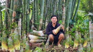 Harvest large bamboo shoots along the stream. Who cooks for Kien and Mo?