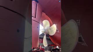 Why Don’t Giant Ship Propellers Rust? The Secret Revealed! ️ #facts #ytshorts #trending