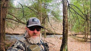 Trout Fishing Pennsylvania Freestone Streams For Big WILD TROUT #fishing #troutfishing #trout