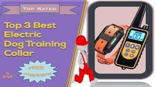 Top 3 Best Electric Dog Training Collar Reviews