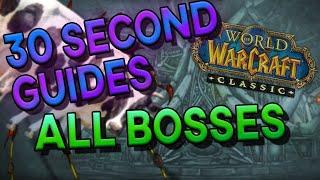 Naxxramas All Bosses - 30 Second Guides!