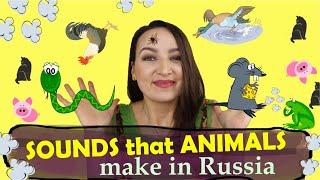 134. Animal Sounds in Russian | How do Animals sound in Russian