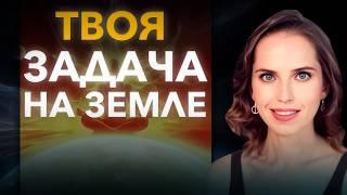 Вы пришли на Землю, чтобы пройти эти уроки