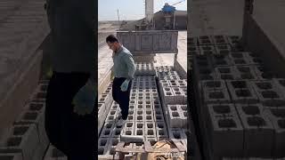 Amazing way of loading hollowblocks