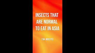 Insects That Are Normal To Eat In Asia | Weird Asian Food