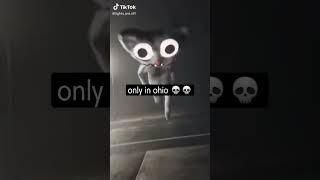 #ohio #memes