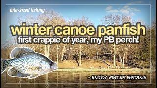 I Try Winter Pan Fishing: A First Crappie & My PB Yellow Perch!