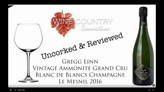 Uncorked & Reviewed - Greg Linn Ammonite Champagne Le Mesnil 2016 by Master Sommelier Kevin, M. Vogt