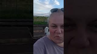  Грядки, я лечу! Всем рассадам — приготовиться!