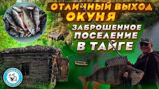 Catching perch on SPINNING. Crazy perch NICK. Fishing on the taiga river. Fishing in Yakutia.