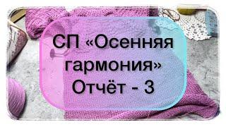 СП «Осенняя гармония» Отчёт-3 #богинипряжи #осенняягармония #вязание