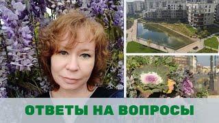 Лучшие деревья для озеленения городов, луга и газоны, лучшие растения для озеленения