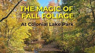 Magical Autumn Colors: Fall Foliage at Colonial Lake Park