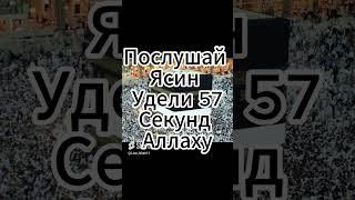 Послушай Ясин Удели 57Секунд Аллаху #Ислам #сура #ясин