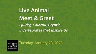 Live Animal Meet & Greet | Quirky, Colorful, Cryptic: Invertebrates that Inspire Us