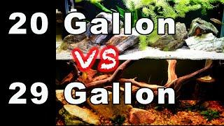 29 Gallon Aquarium vs 20 Gallon Long Aquarium: Which is Best?