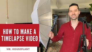 How to make a time lapse of a plant growing