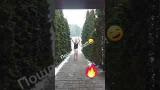 моржи Минск